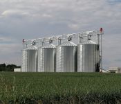 Grain pump