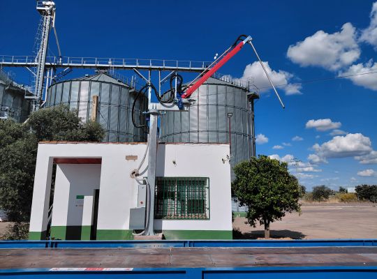 Falcon Giroscópico